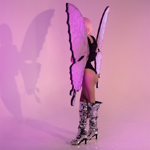Pixel Wings of a Butterfly with LEDs on both sides