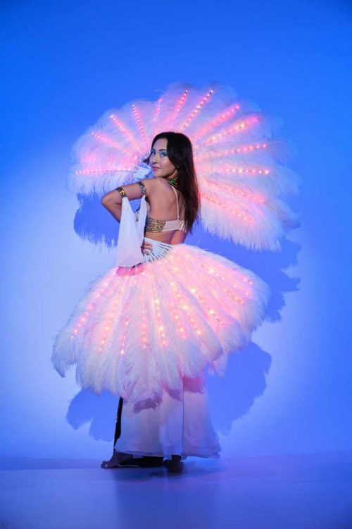 feather burlesque fans