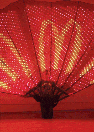 led-logo-light-effects-smart-pixel-peacock-fantail-2700-leds