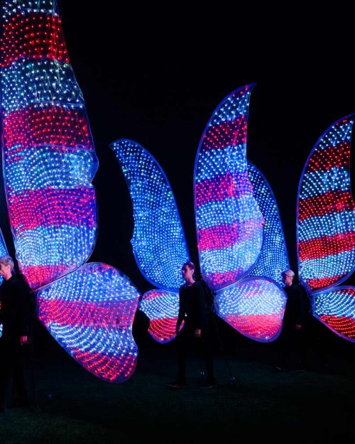 SMART LED SCREEN WINGS