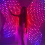 led-butterfly-wings-suit-for-adults
