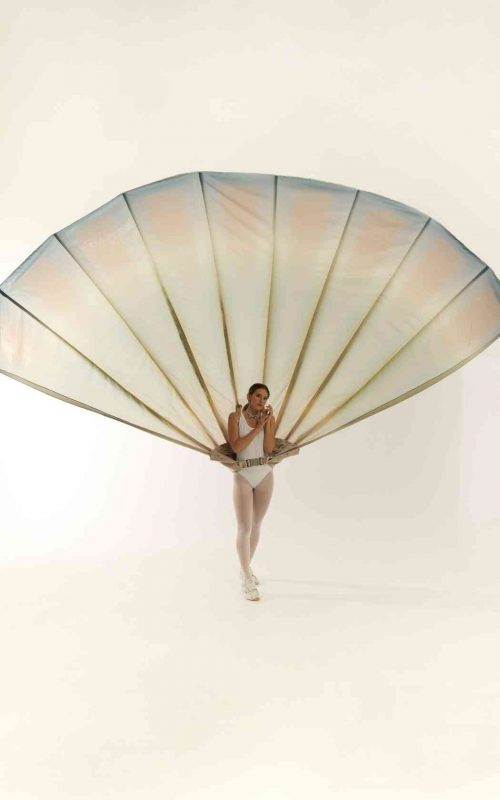 peacock costume