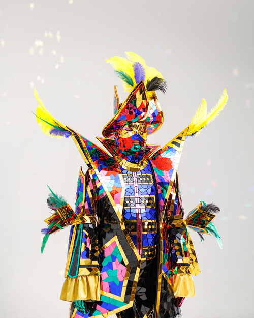 Mirror Pirate Costume with Feathers